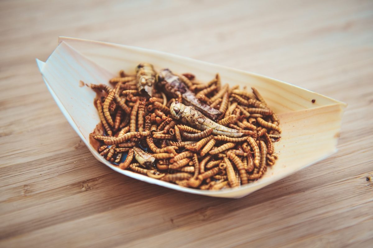 street food schmeckfestival insekten